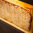 Load image into Gallery viewer, Luxury Honeycomb Frame - Extra Large 2.5KG