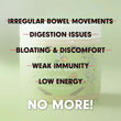 Load image into Gallery viewer, Gut Health Honey - Apple &amp; Cinnamon with Pre and Probiotics (260g)