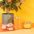 Load image into Gallery viewer, LIMITED EDITION Super Ginger Immunity Honey (260g)